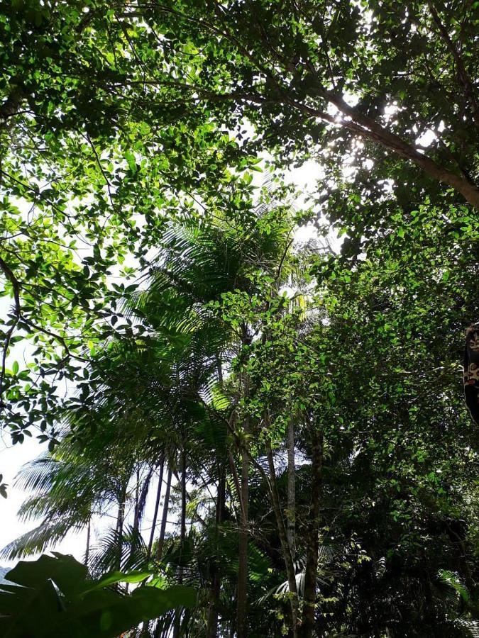 Sumatra Ecolodge Sao Sebastiao  Eksteriør billede