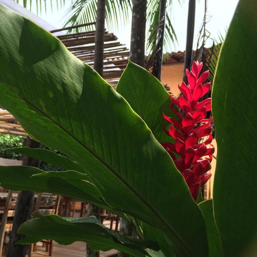 Sumatra Ecolodge Sao Sebastiao  Eksteriør billede