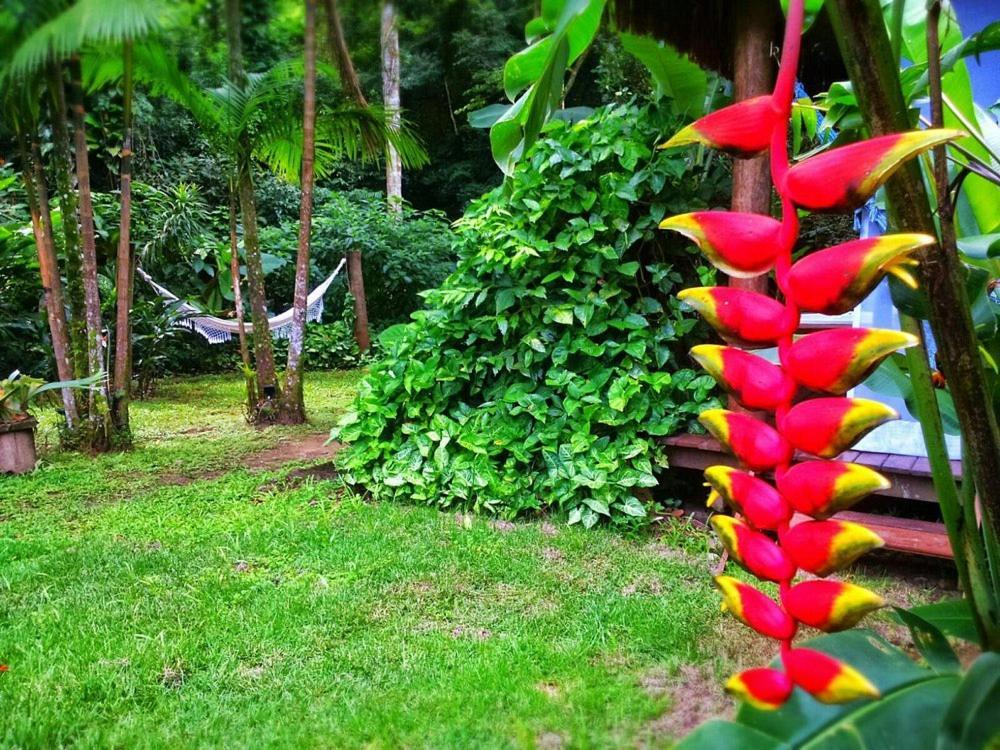 Sumatra Ecolodge Sao Sebastiao  Eksteriør billede